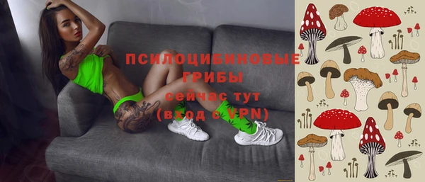 PSILOCYBIN Липки
