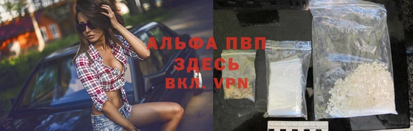 PSILOCYBIN Липки