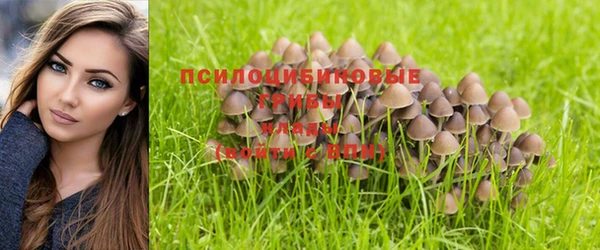 амфетамин Лиски