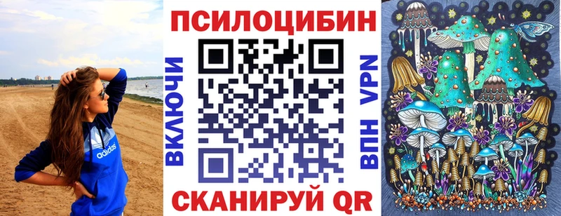 Псилоцибиновые грибы Psilocybe Апрелевка